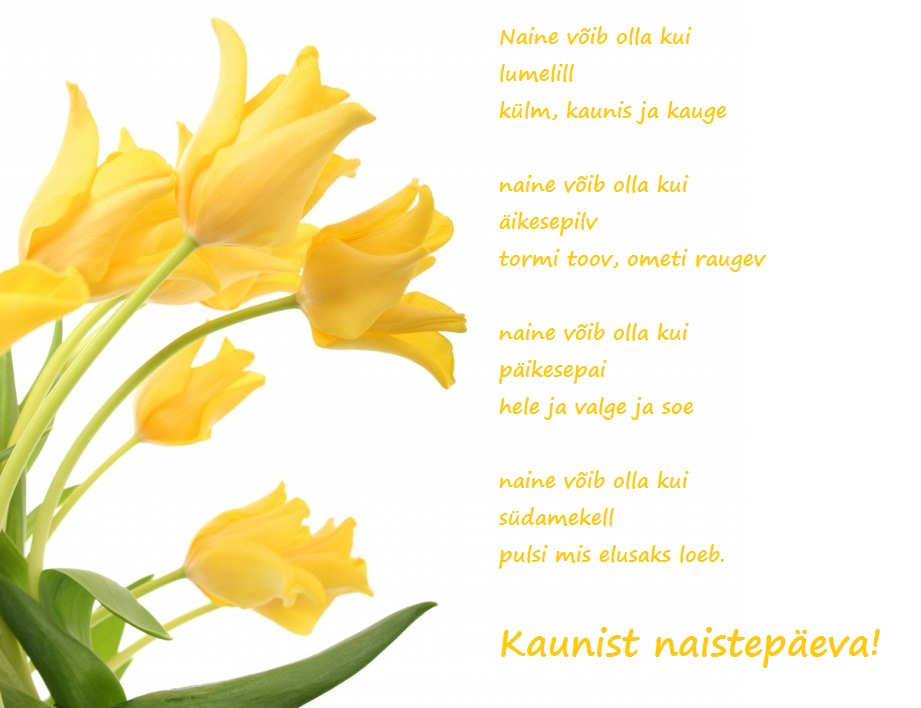 Yellow-Tulips-Flowers-1